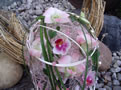 kytice na drtn konstrukci z jemn rovch orchidej dendrobium, tm. rovch phalaenopsis, trvy bergras, dozdobena perlikami a pedigem